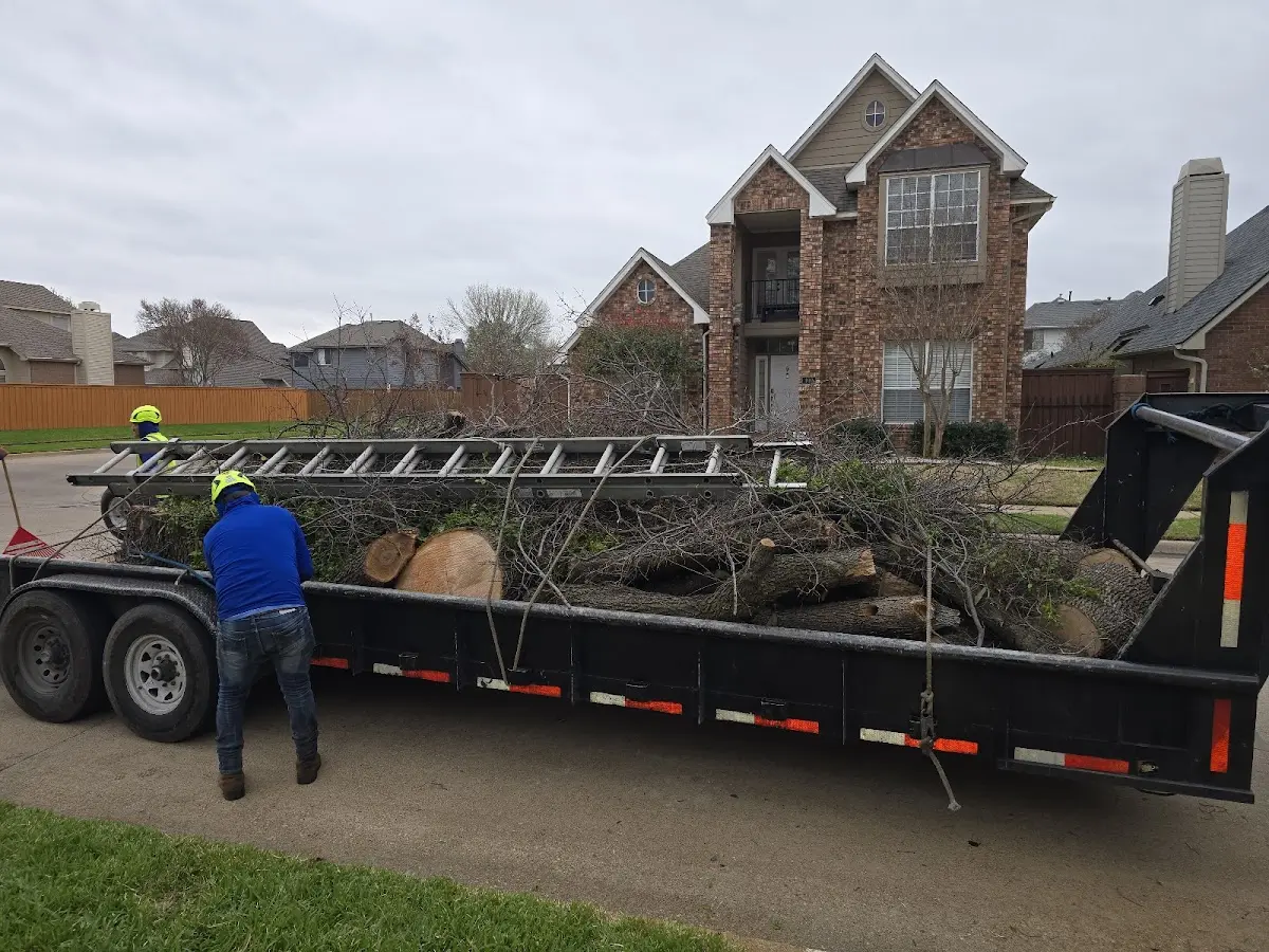 Expert Crown Reduction with proper safety equipment in Green Valley Lake